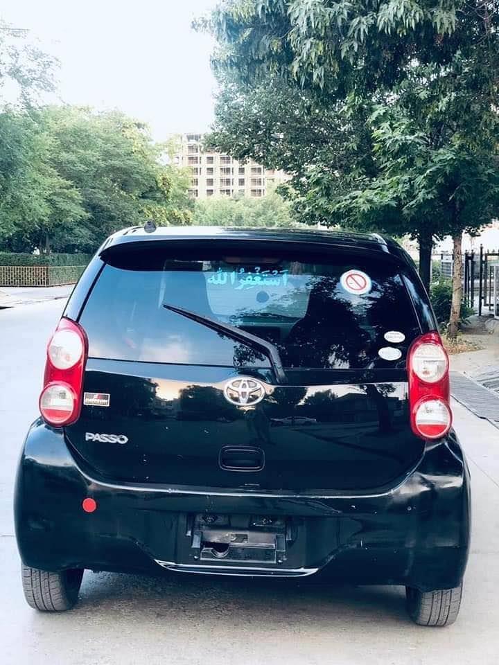 پاسو-برای-فروش-و-مالچه
