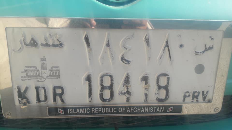 ویټز