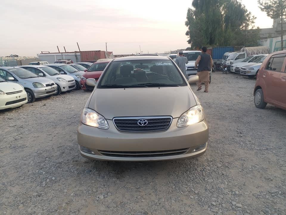 کاناډایی-ټوډی