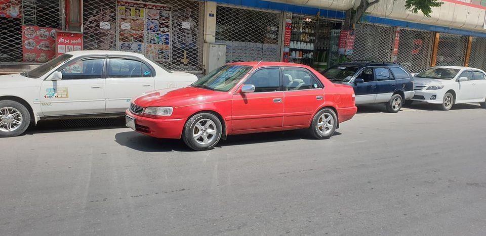 فروش-شیپ-خوستی