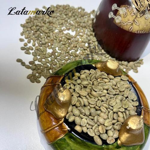 دانه سبز قهوه هند عربیکا و روبوستا برای خرید عمده