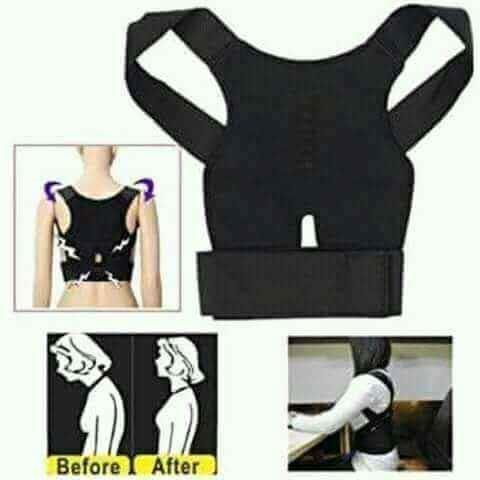 نگهدارنده ویا قوس بند رویال پاستر...0777866631...0780211566.