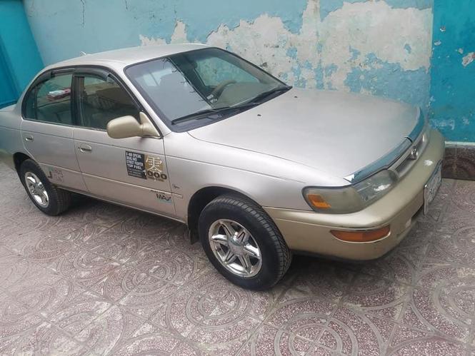کرولایی کانادایی مودل۹۶ 0784561241