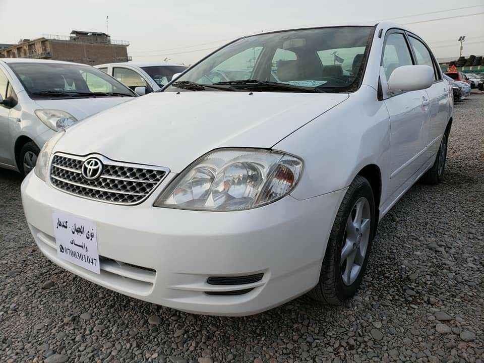 شمیره-0704974244