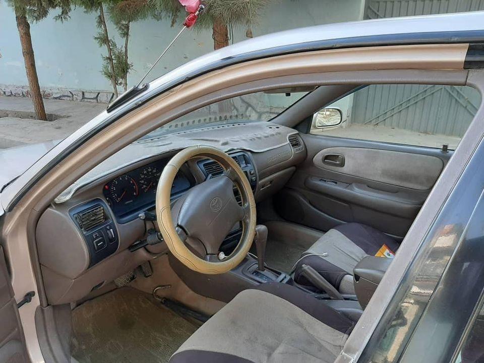-کرولای-کانادایی-