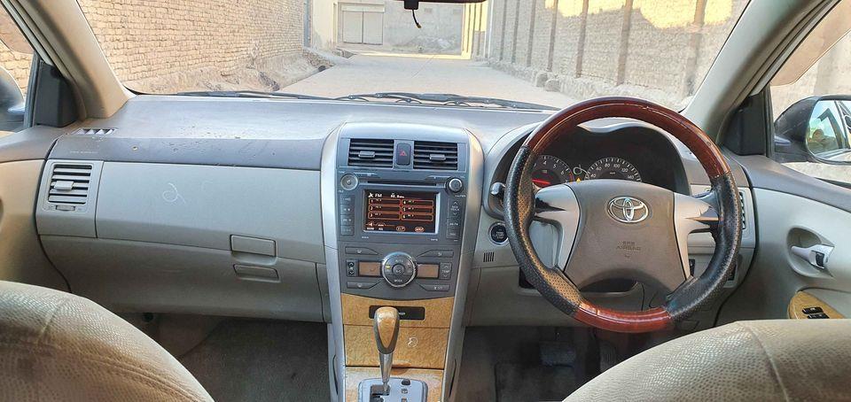 کورنی-ایگزیو-روکسل-روغ