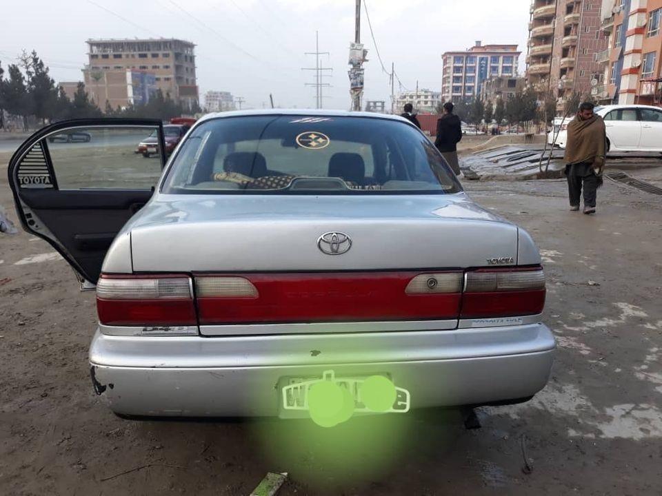 کرولای-کانادائی