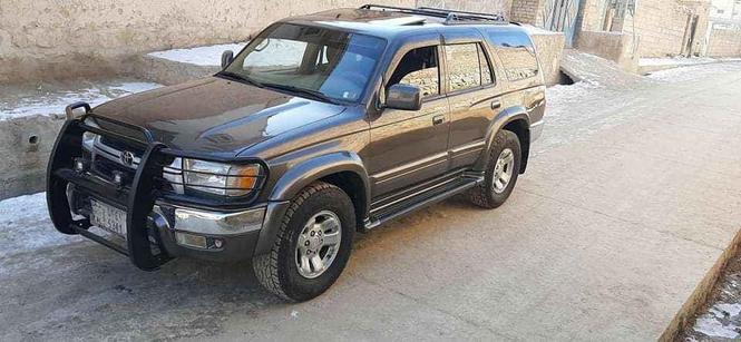 فروش و مالچه صرف فرونر کانادایی