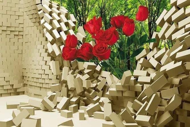 نوى ديزين ولفيفران راغلى ددى 3D .. HD لوکس چتونه جوره ووه (0