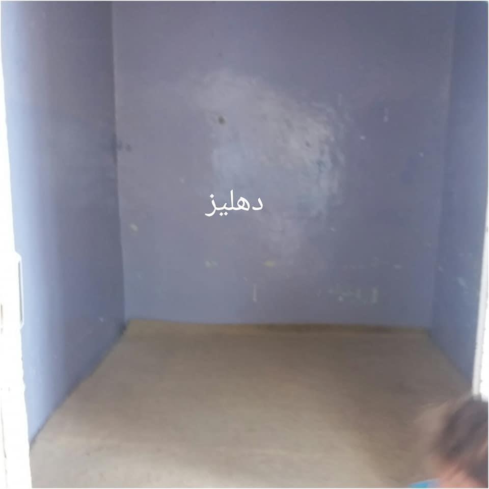 ﺧﺎﻧﻪ-ﮔﻮﺭﻱ