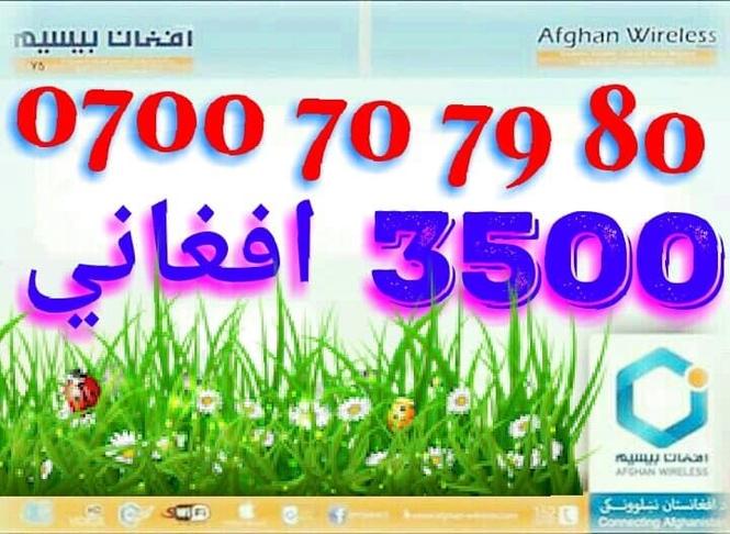 ‎دوی قطعی عکسونه او د تذکیری کافی ضرور دی.
