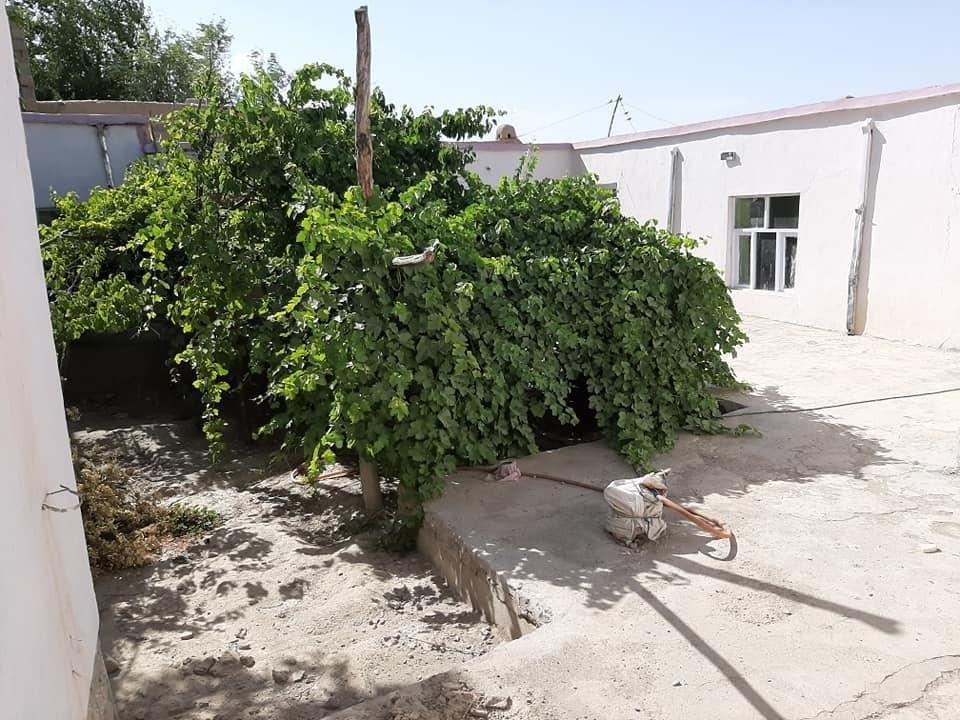 حویلی-فروشی