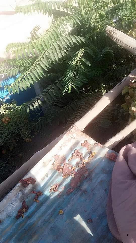 خانه-فروشي