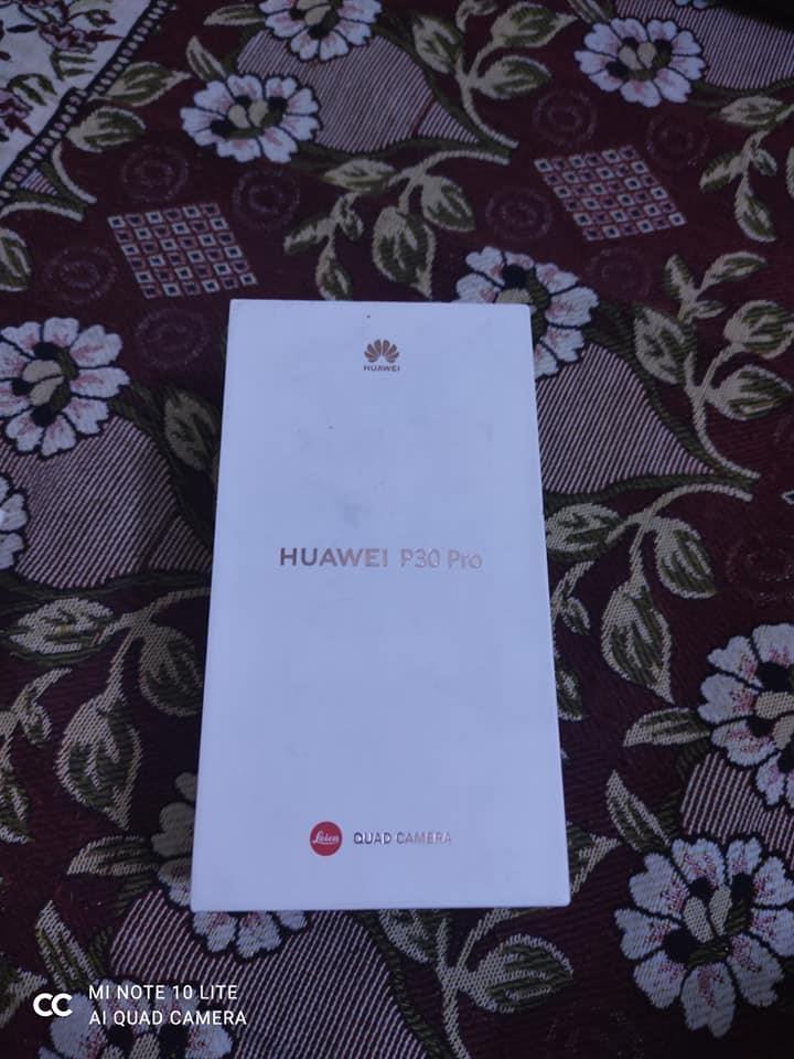 p30pro