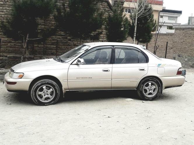 كرولا امريكايي ليبل دار