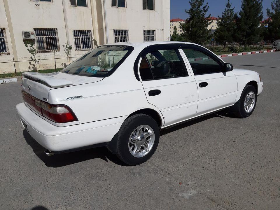 کرولا-کانادایی