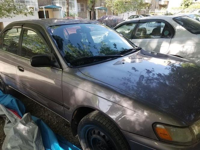 1995 Toyota Corolla California