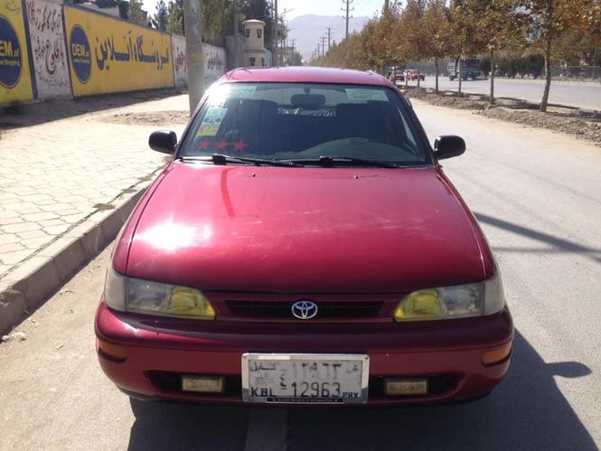 كرولا كانادايي