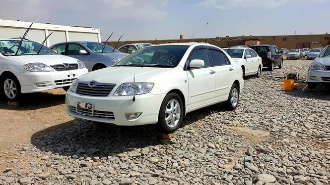 تماس 0700088829 وټس اپ 0700346447