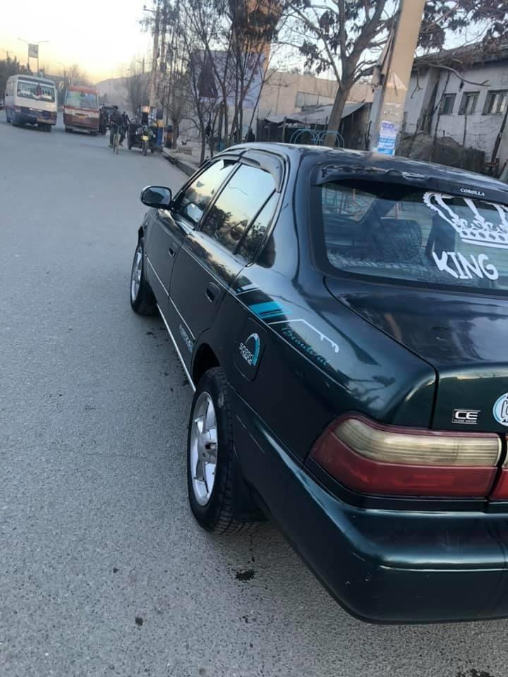 فروش-و-مالچه