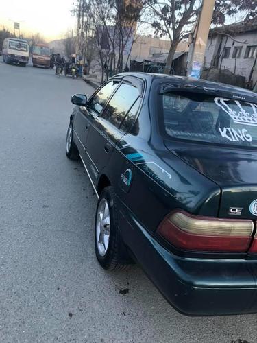 فروش و مالچه