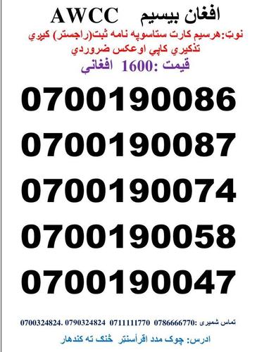 تماس شمیری: 0786666770 0711111770 وتسف نمبر : Whatsa