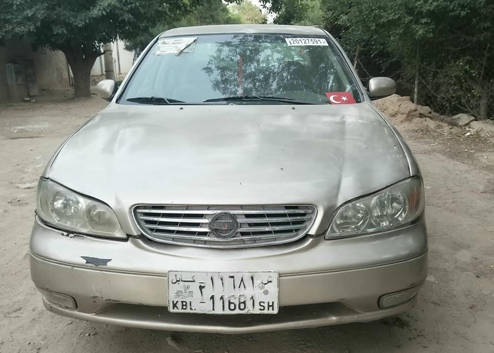 فروش-و-مالچه