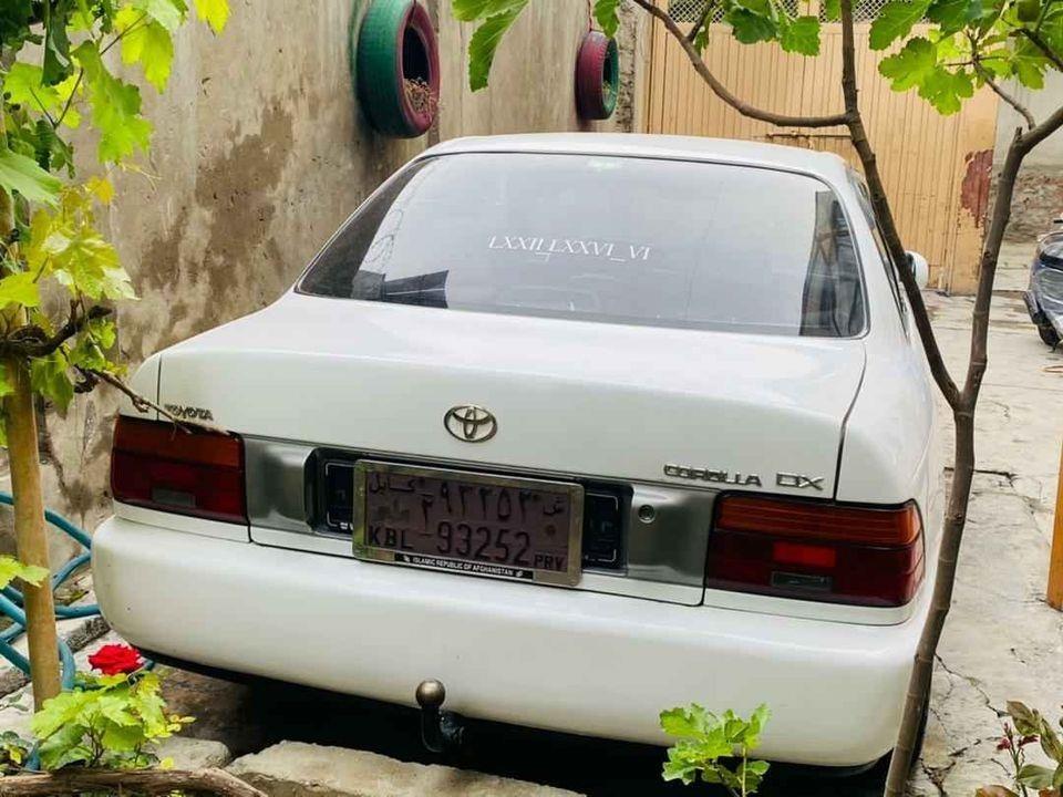 کرولای-جرمنی