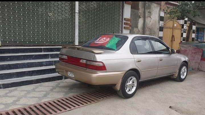 کرولای-کانادایی