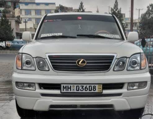 لکسس-فروشی-و-مالچه-ایی