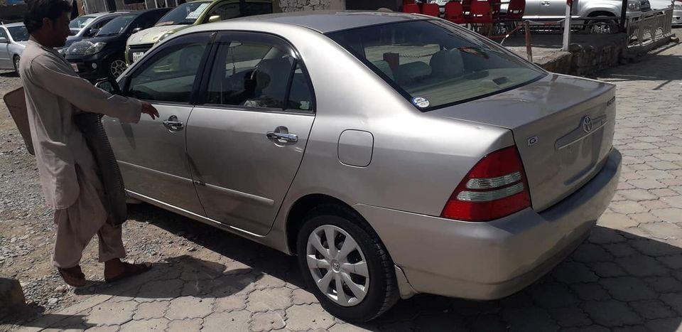 لوکسل-ګولدن-2003-روغه