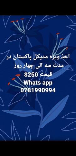 اخذ ویزه پاکستان در مدت سه الی چهار روز قیمت قیمت250$ Whats