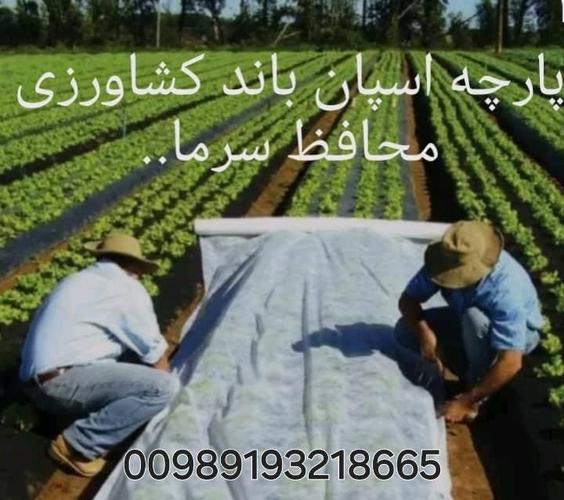 فروش عمده پارچه اسپان باند ( بی بافت )