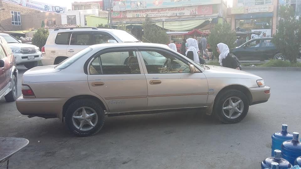کرولای-کانادایی