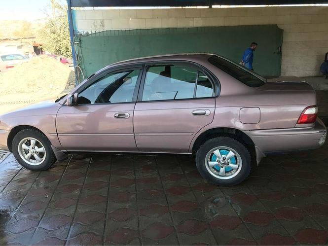 کرولای کانادایی
