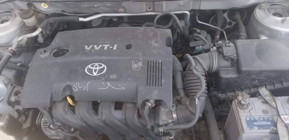 فلډر-ماډل--۲۰۰۵-