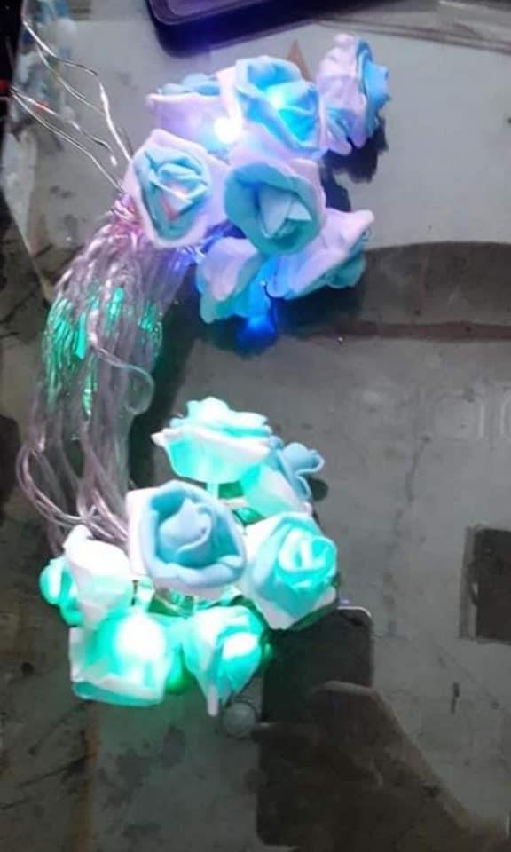 بیطری-ایشاری