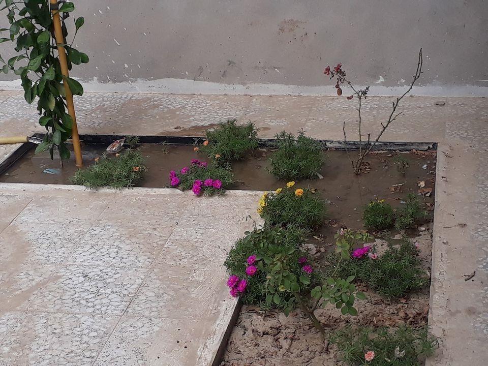 د-خرڅ-کور--سرای-