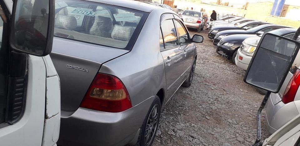 لوکسل2000روغه