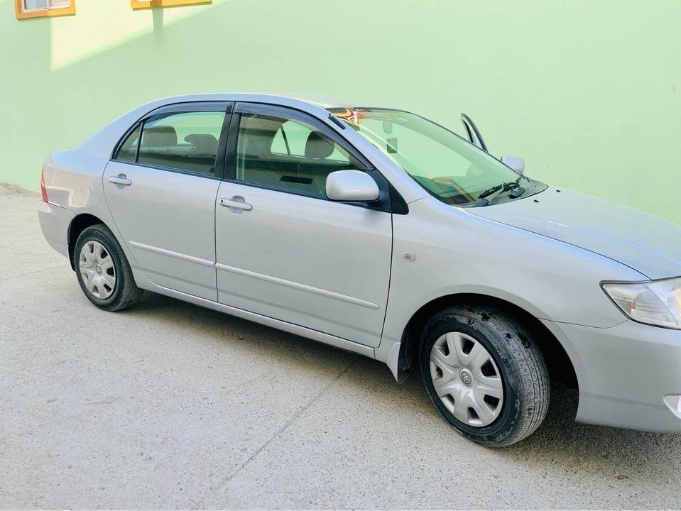 2005-ماډال