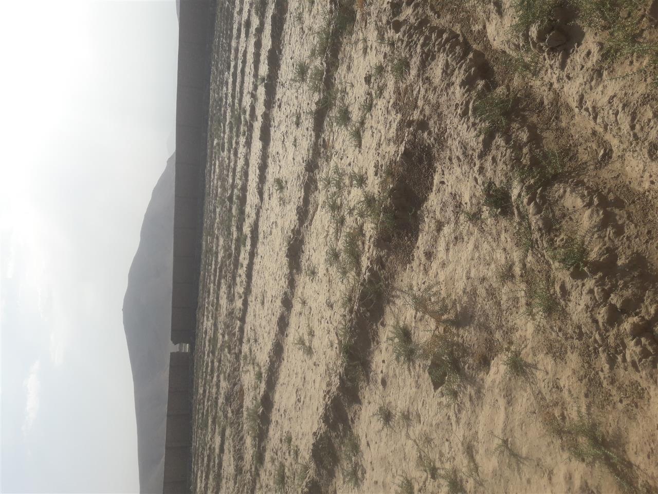 شش-نمره-زمین-چهار-دیواری-شده-گی-دست-بند-برای-فروش