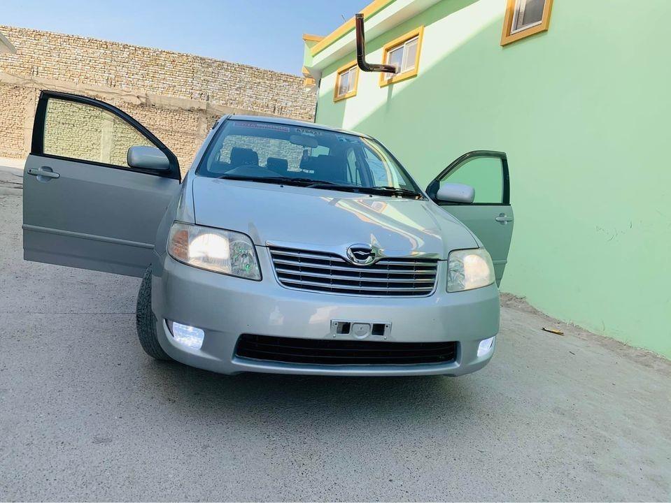 2005-ماډال