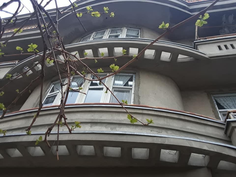 خانه-گروی