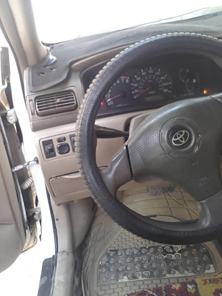 فروش-و-مالچه