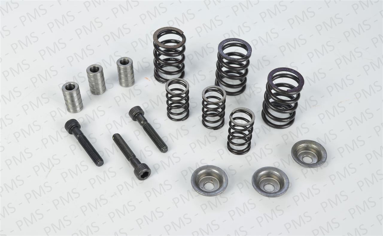 Carraro---ZF-Self-Adjust-Kit-Types--Oem-Parts