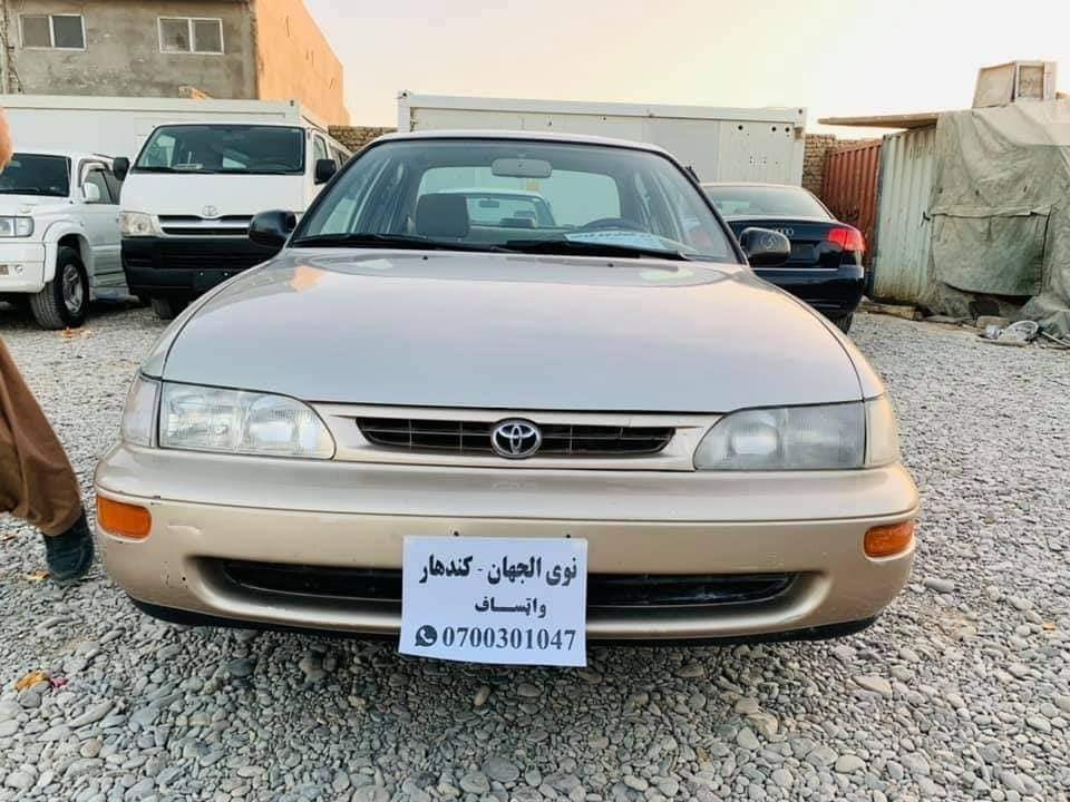 ---شمیره-0704974244---