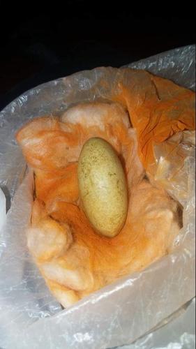 خر مهره فروشی
