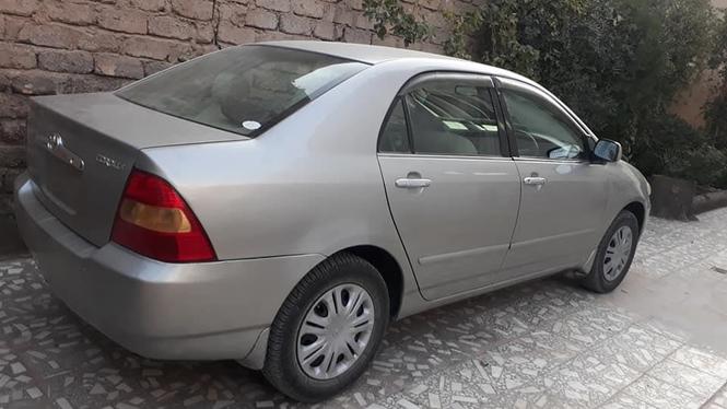 مالچه موتر.