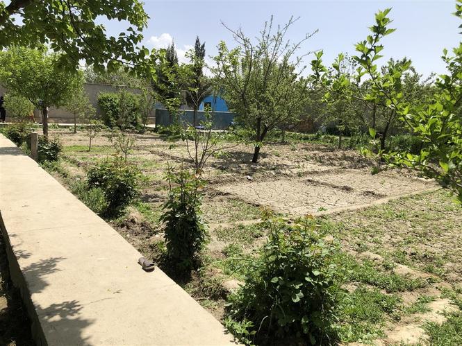 زمین فروشی ( باغ فروشی )