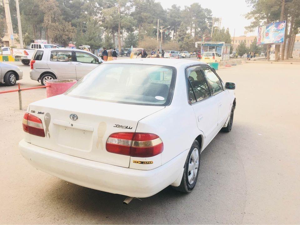 فروش-عاجل-شیپ-خوستی